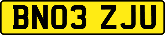 BN03ZJU