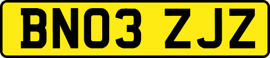 BN03ZJZ