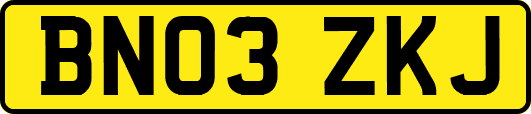 BN03ZKJ