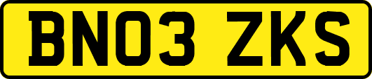 BN03ZKS