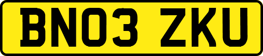 BN03ZKU