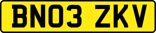 BN03ZKV