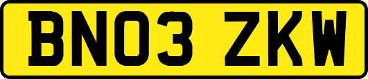 BN03ZKW