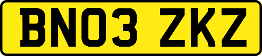 BN03ZKZ