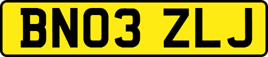 BN03ZLJ