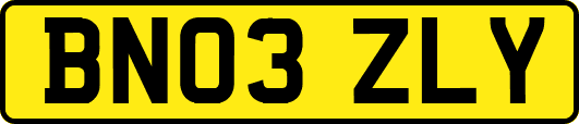 BN03ZLY