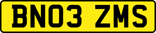 BN03ZMS