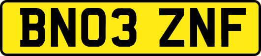 BN03ZNF