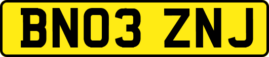 BN03ZNJ