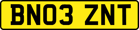 BN03ZNT