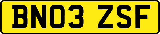 BN03ZSF