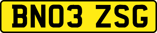 BN03ZSG