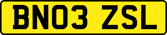 BN03ZSL