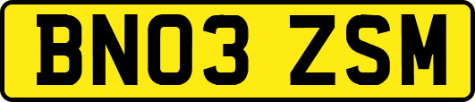 BN03ZSM