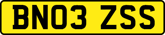 BN03ZSS