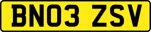 BN03ZSV