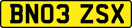 BN03ZSX