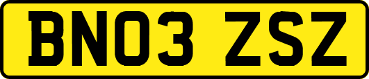 BN03ZSZ
