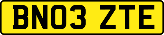 BN03ZTE