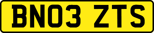 BN03ZTS