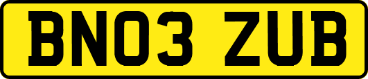 BN03ZUB