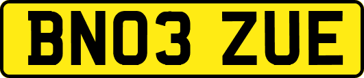 BN03ZUE