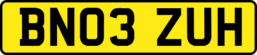 BN03ZUH