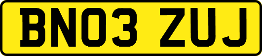 BN03ZUJ