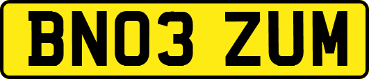 BN03ZUM
