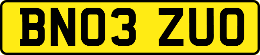 BN03ZUO