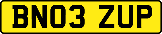 BN03ZUP