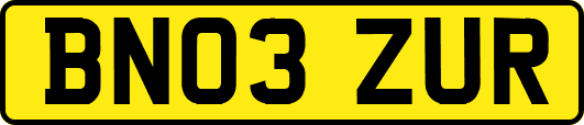 BN03ZUR