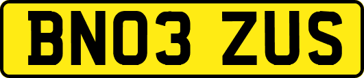 BN03ZUS