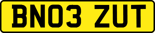 BN03ZUT