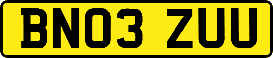 BN03ZUU