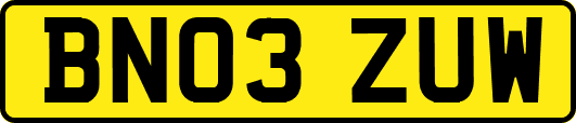 BN03ZUW