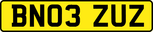 BN03ZUZ