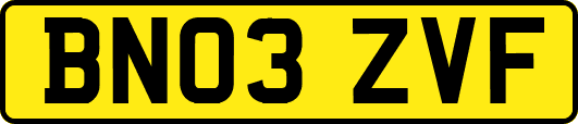 BN03ZVF