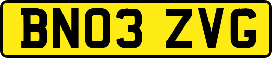 BN03ZVG