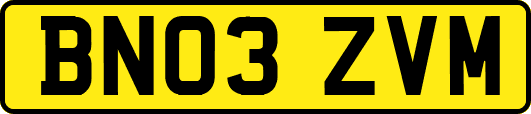 BN03ZVM