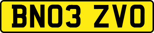 BN03ZVO