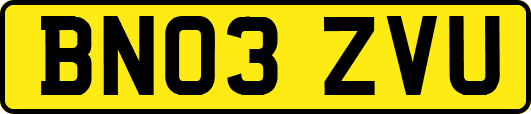 BN03ZVU