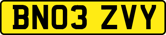 BN03ZVY