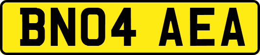 BN04AEA