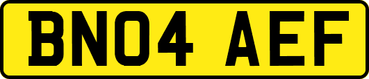 BN04AEF