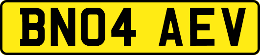 BN04AEV