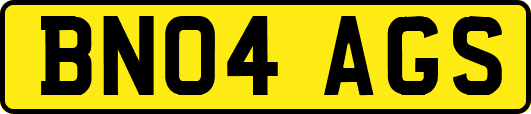 BN04AGS