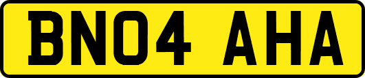 BN04AHA