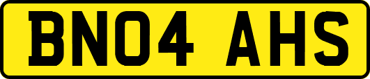 BN04AHS