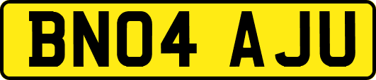BN04AJU